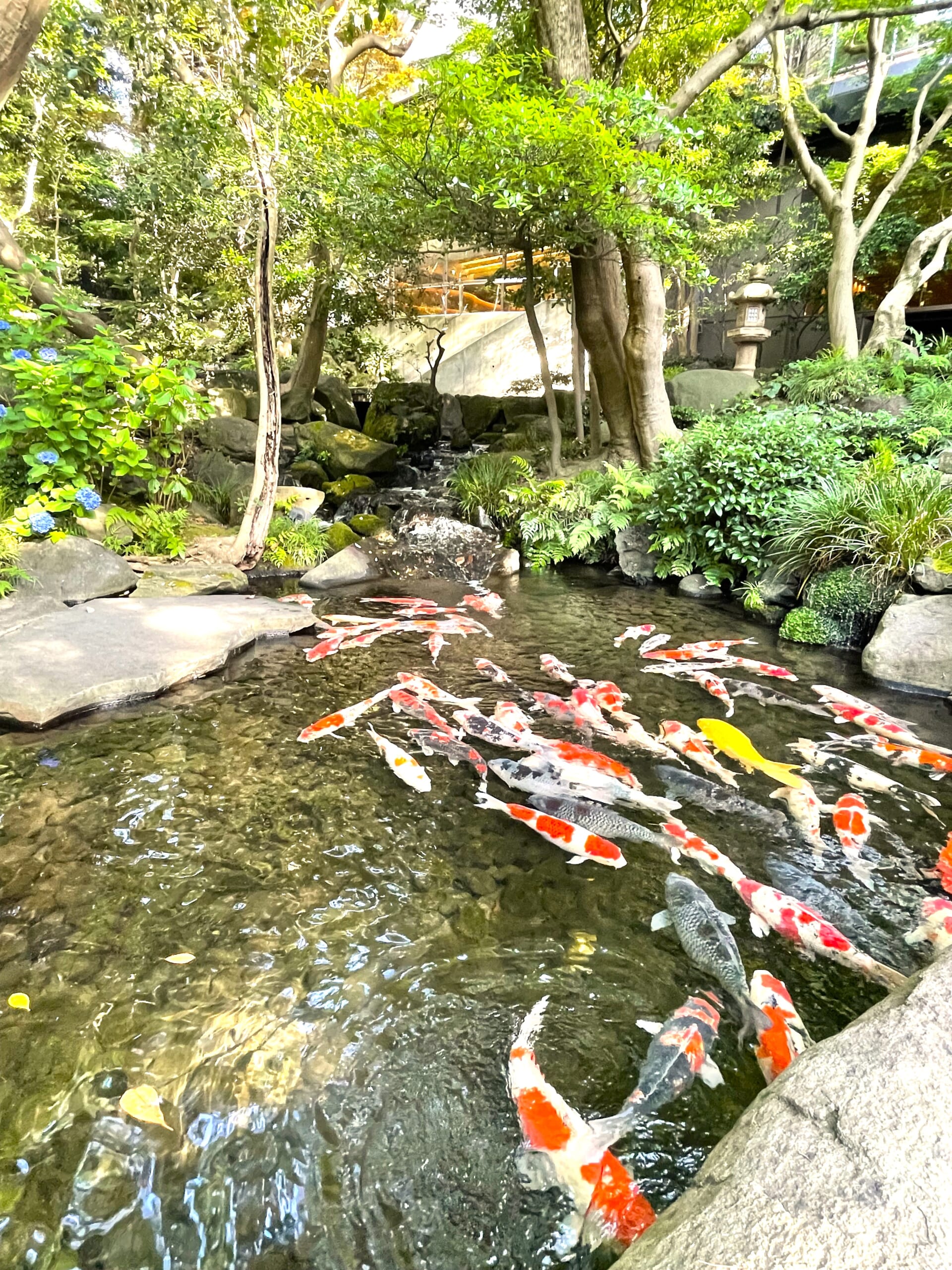 八芳園・壺中庵03