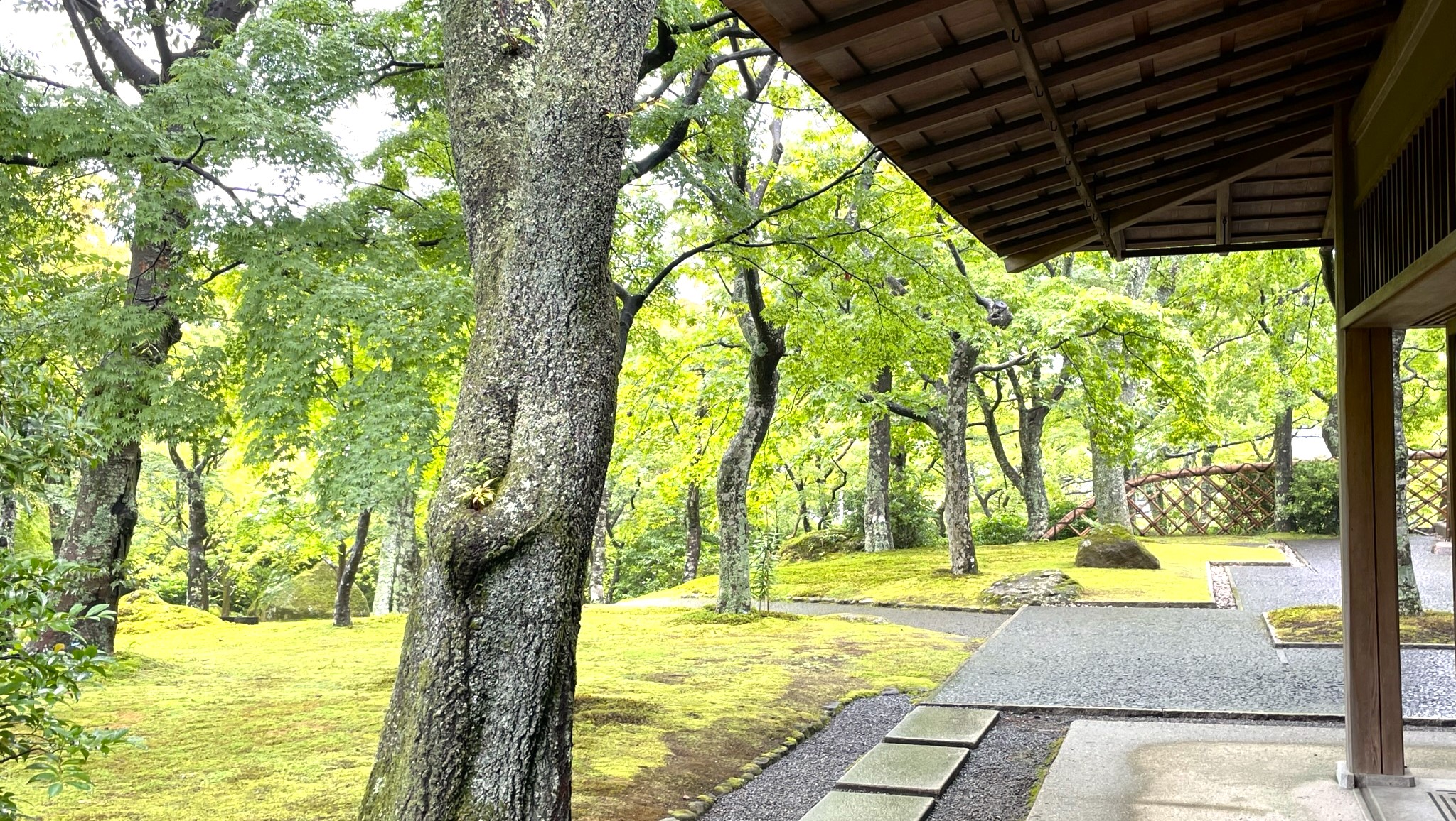 2024年6月3日　「箱根　神仙郷庭園／茶室・真和亭他」
