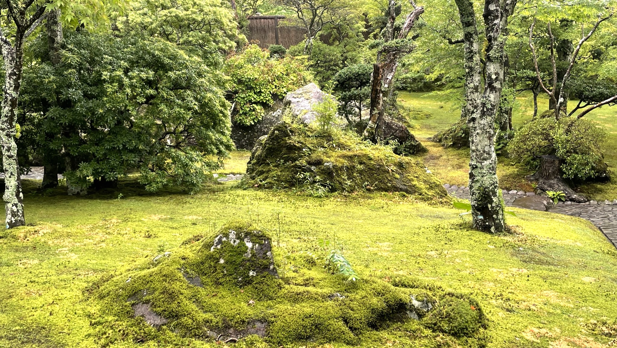 箱根_神仙郷庭園_茶室_真和亭他3