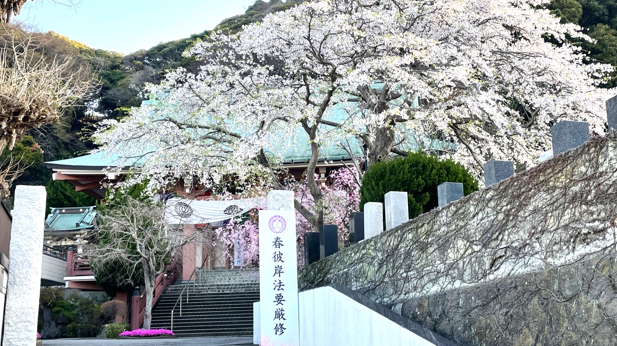 先祖代々追悼春彼岸合同法要3