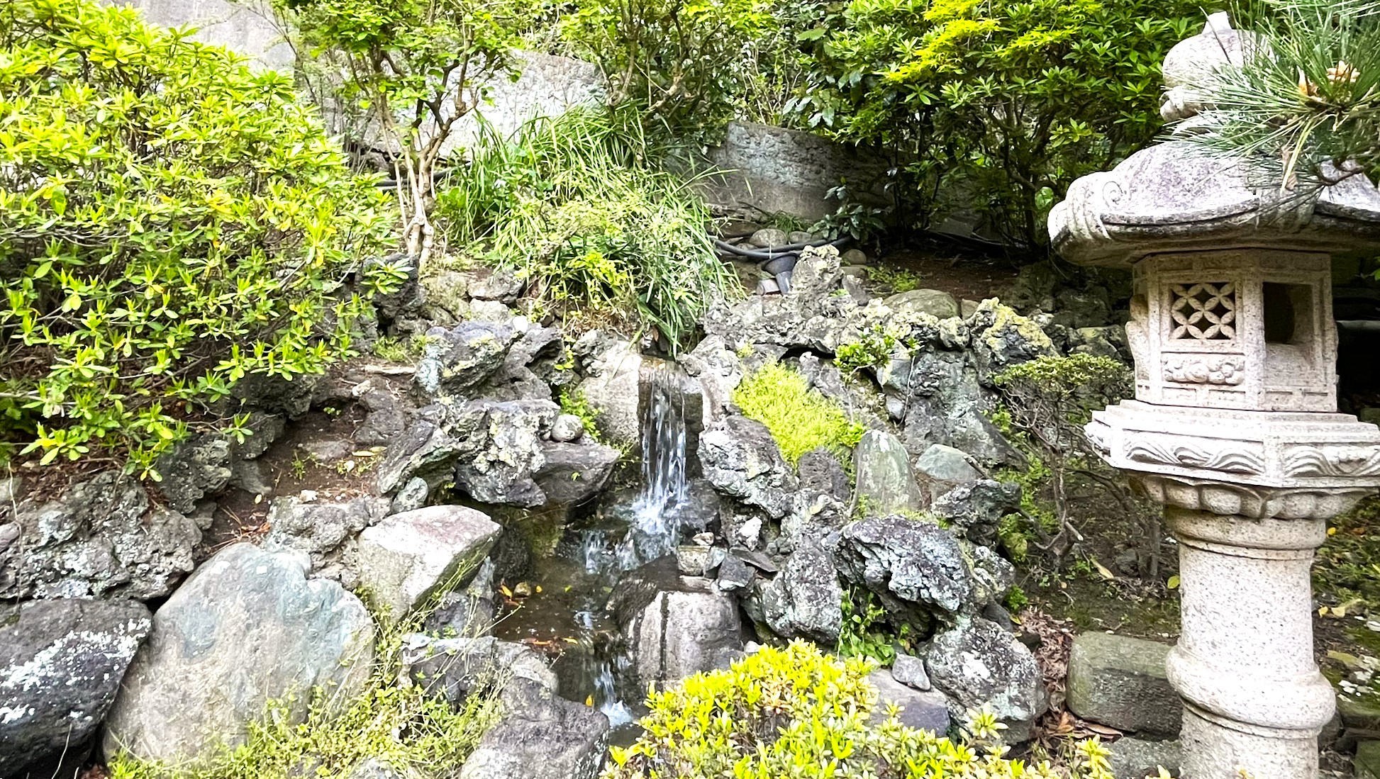 池メンテナンス2