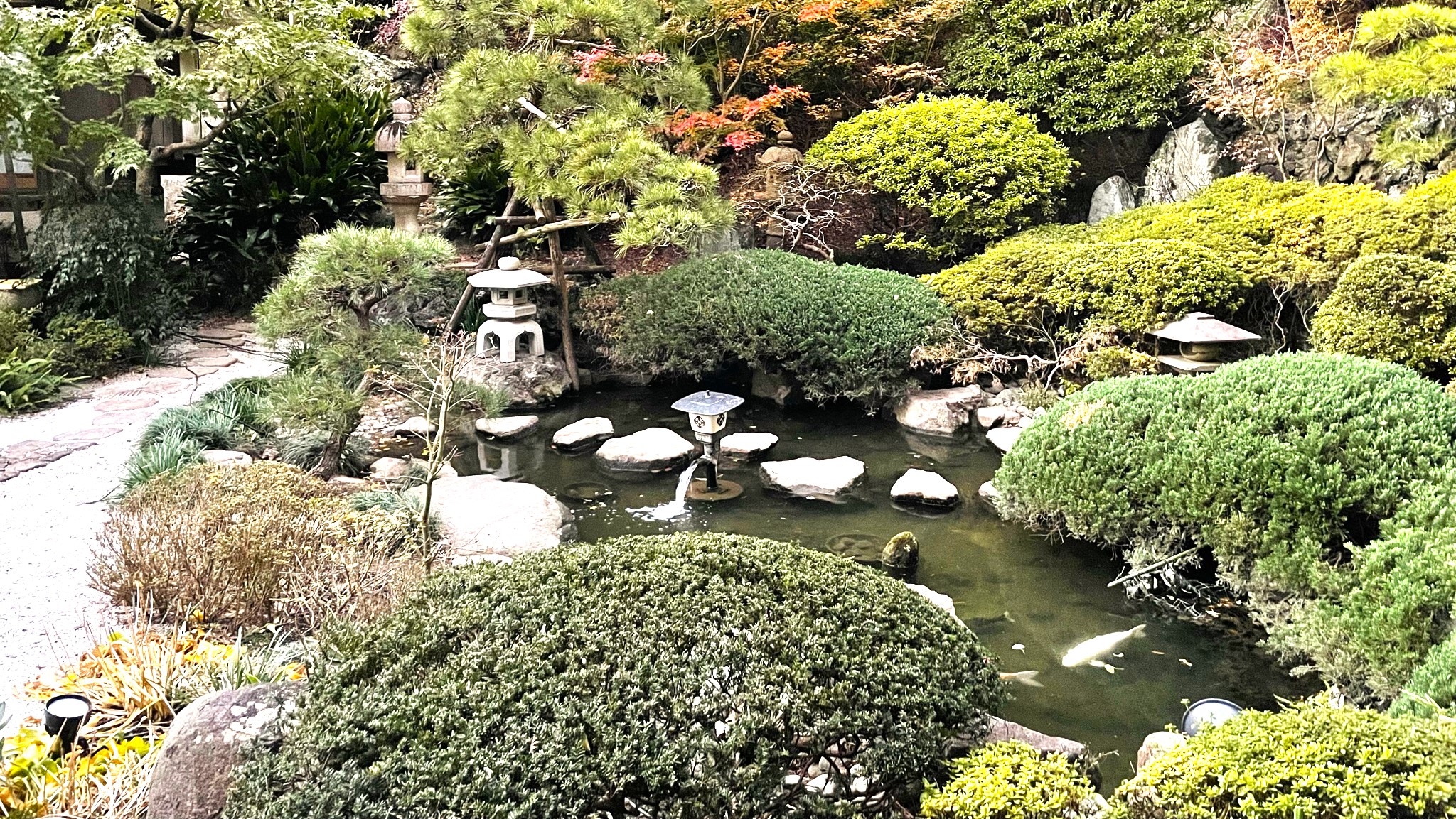 池メンテナンス3