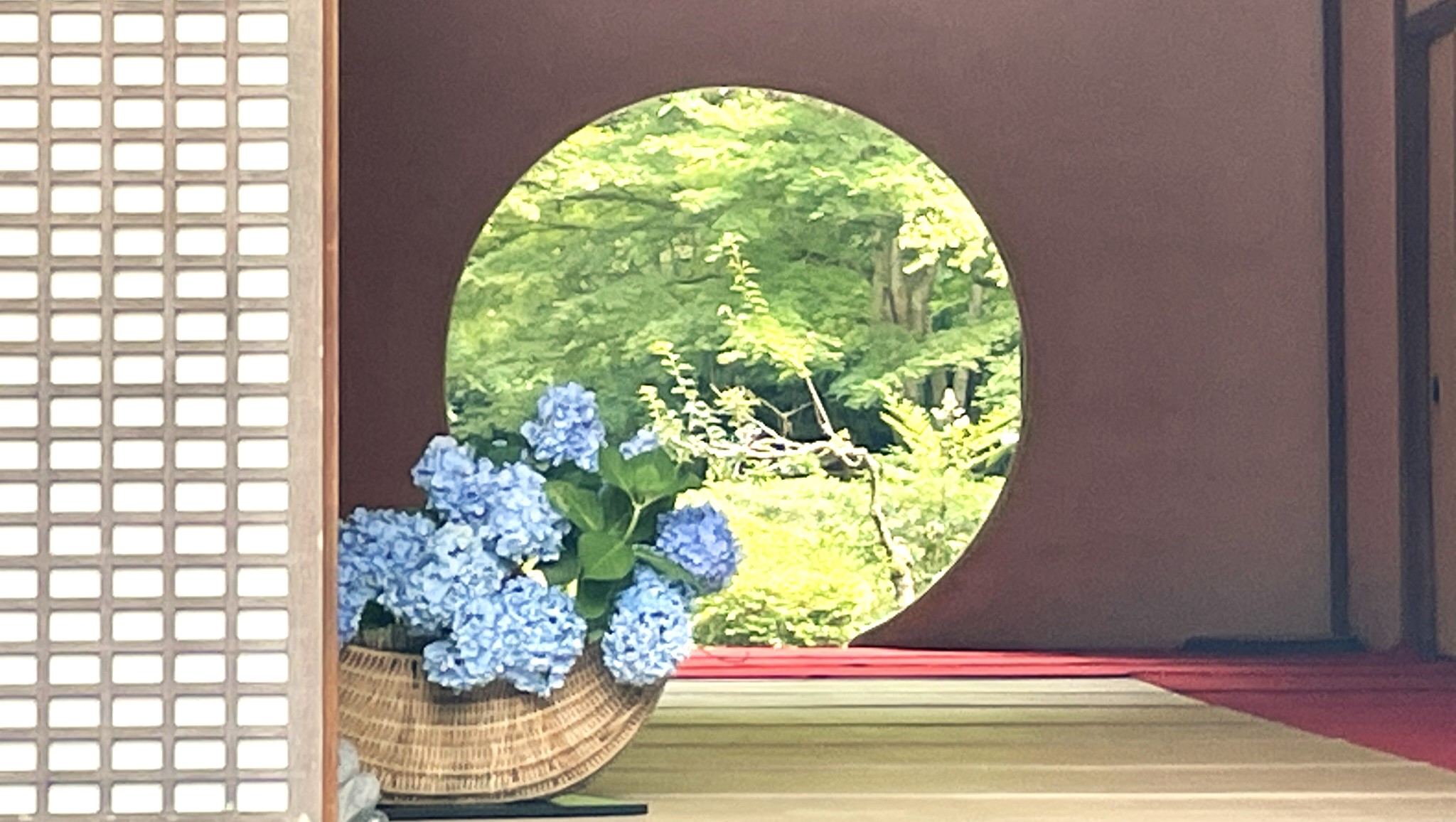 鎌倉明月院2