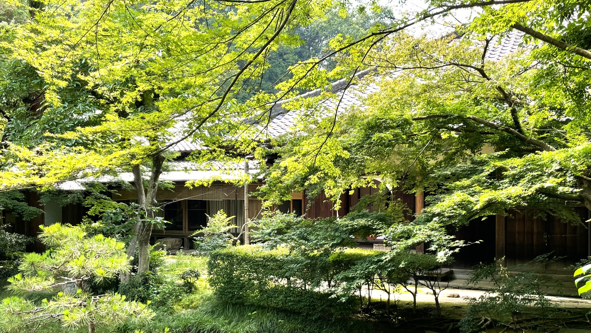 鎌倉明月院3