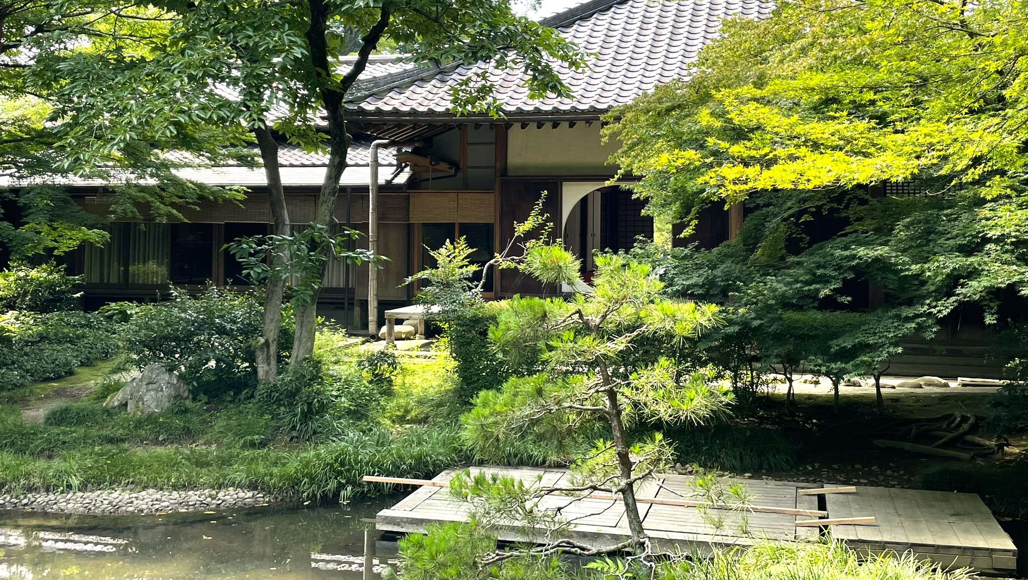 鎌倉明月院4
