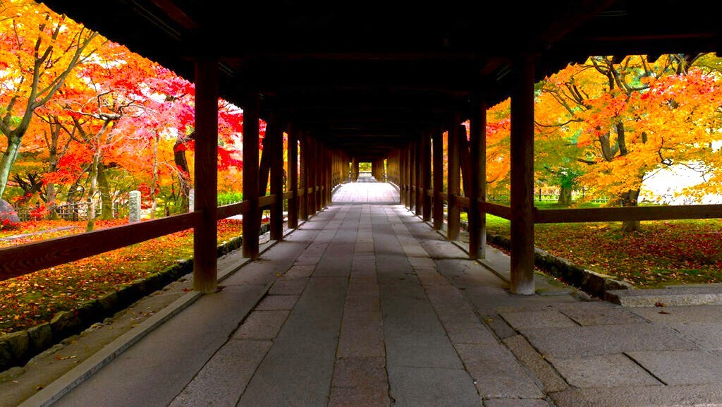 2025年12月1日　「京都東福寺　通天橋」