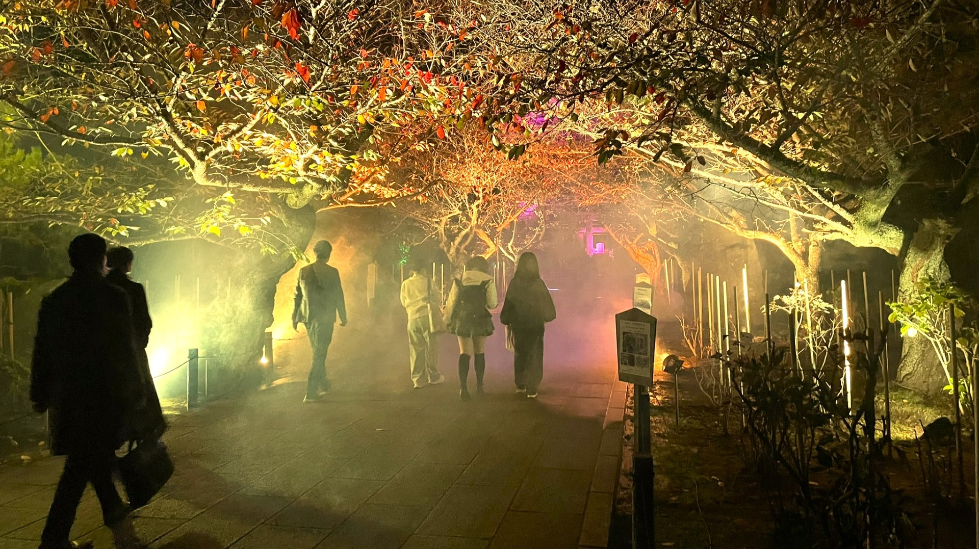 フォグライティングアップ3