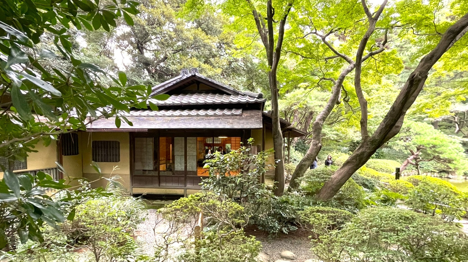 2026年2月13日　「茶室　光華」