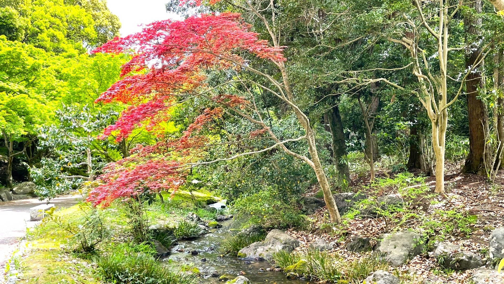 日本万国博覧会記念公園_日本庭園_大阪1