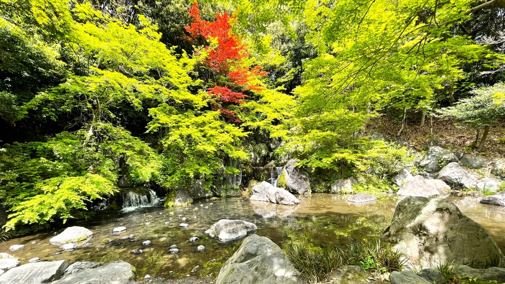日本万国博覧会記念公園_日本庭園_大阪2